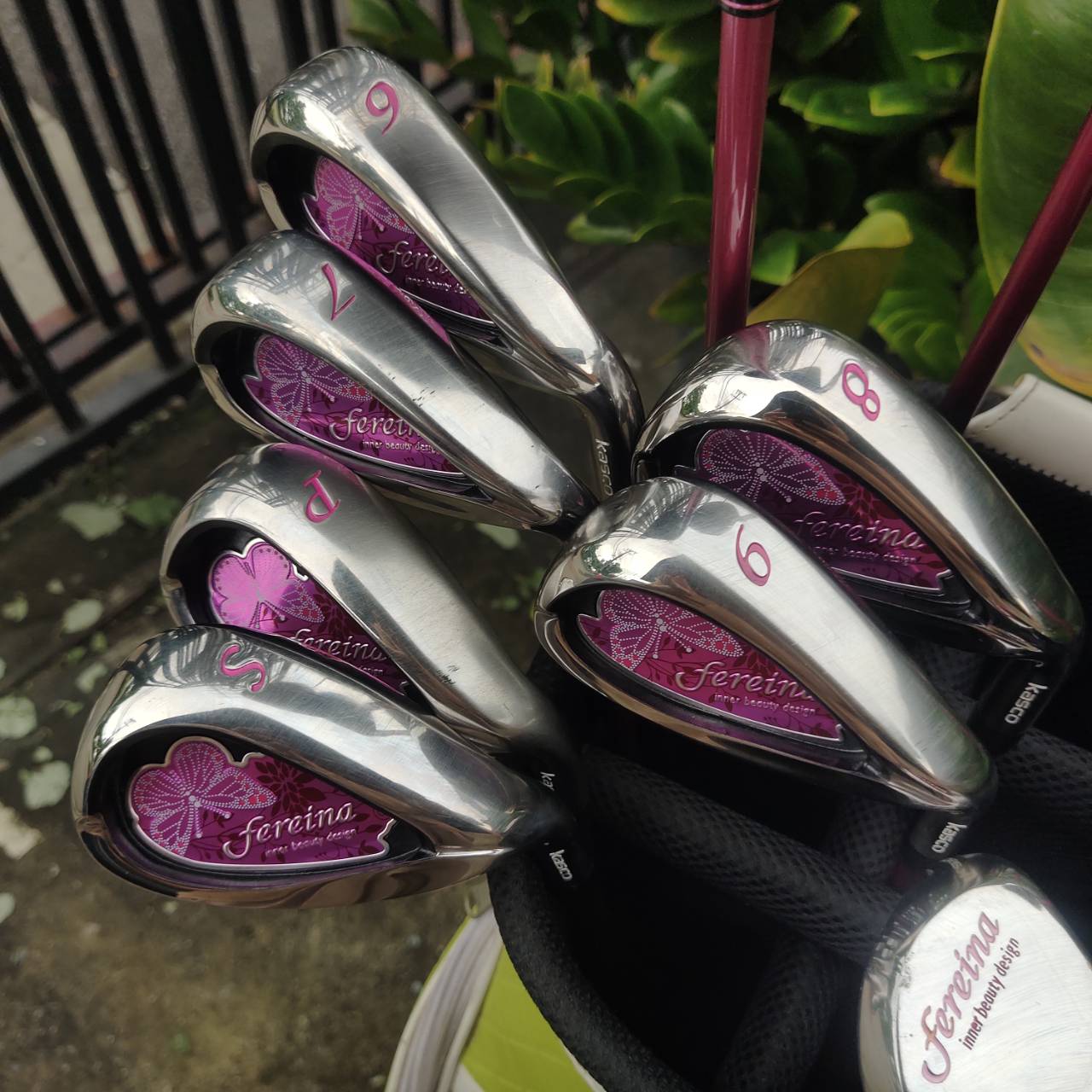 KASCO FEREINA ชุดไม้กอล์ฟระดับพรีเมียมสำหรับสุภาพสตรี เบา ตีง่าย ดีไซน์สวยงามจากประเทศญี่ปุ่น