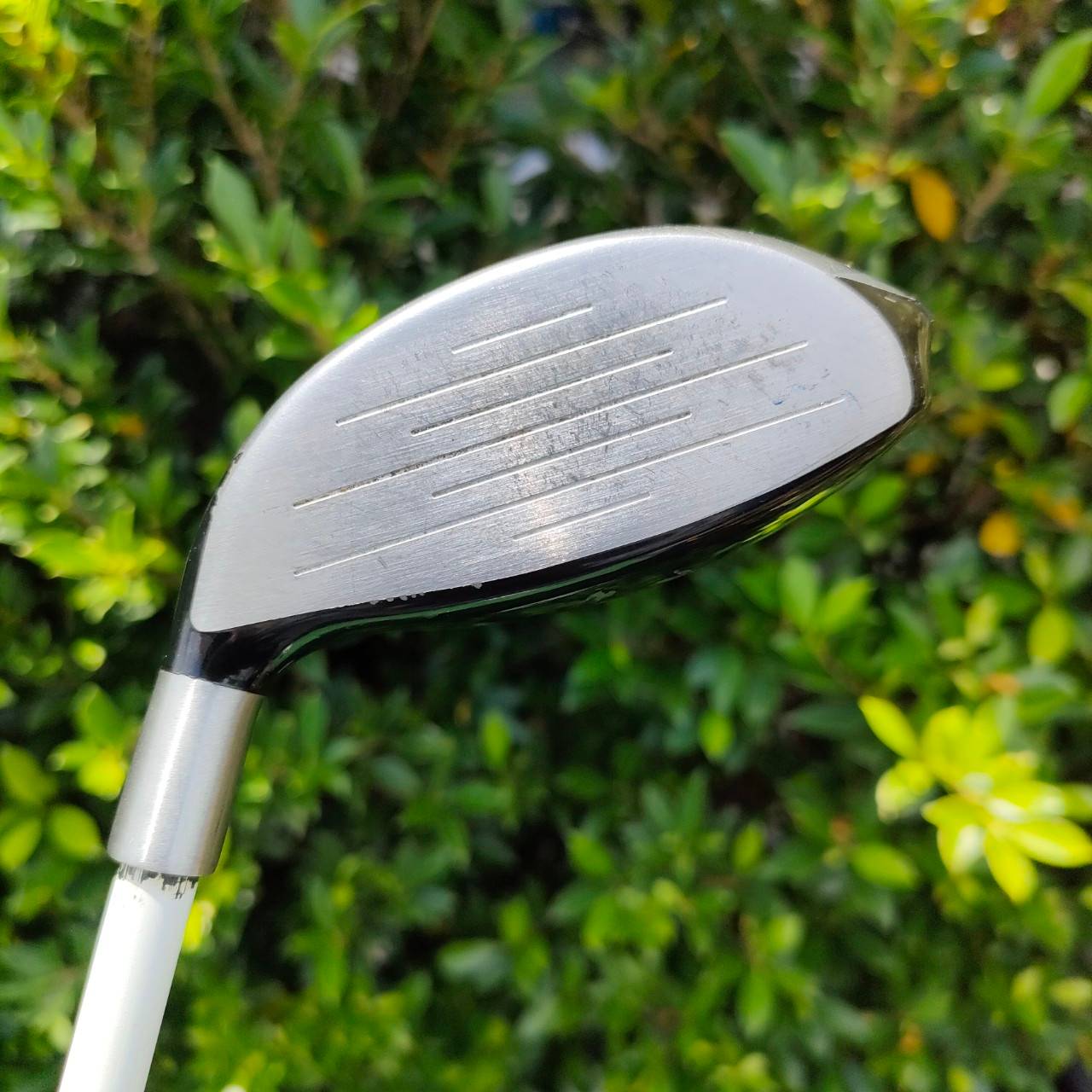 FW 5 TAYLORMADE BURNER LADY ก้าน PARADISO FLEX L องศา 18 เน้นตีง่ายๆ สำหรับคุณผู้หญิงครับ