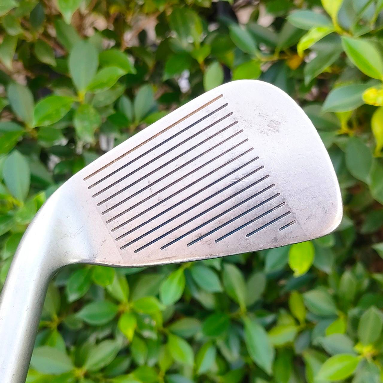 ชุดเหล็ก MIZUNO TENZO SYNCHRO TURN NS มีเหล็ก 5-9 เเละ SW ก้าน TENZO FLEX 8 MADE IN JAPAN