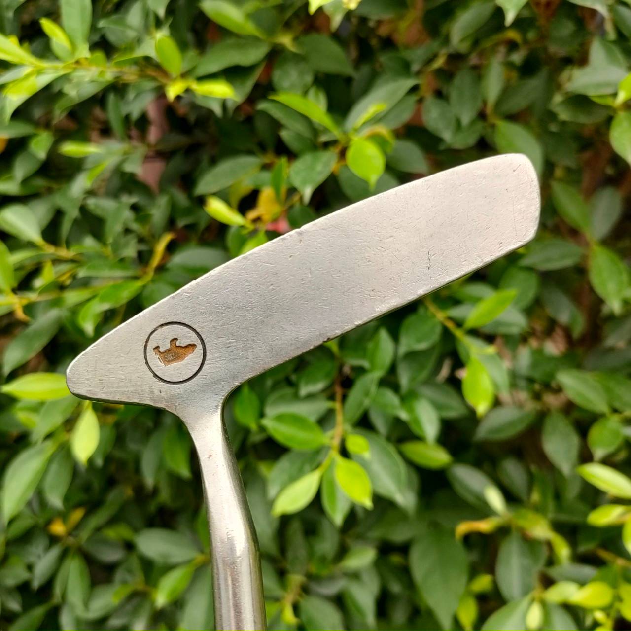 PUTTER SLAZENGER GOLDEN BEAR ความยาว 35 นิ้ว ก้าน CARBOHTE