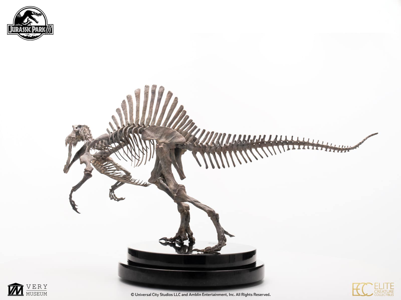 [สั่งจอง]ECC : Bronze Spinosaurus Skeleton (Jurassic Park III)