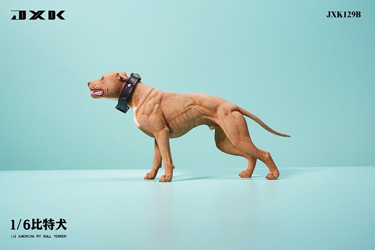 [สั่งจอง]JXK JXK129 1/6 : Pitbull