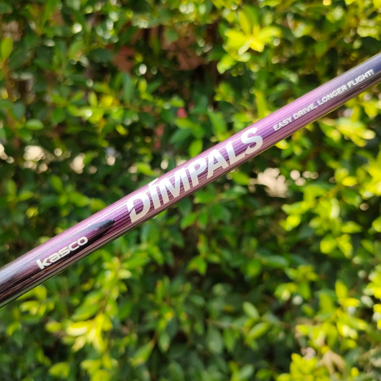 ** ไม้กอล์ฟสำหรับผู้หญิง ** HYBRID 5 KASCO DIMPALS องศา 24 ก้าน KASCO DIMPALS FLEX L รุ่นนี้เป็นรุ่นใหม่นะครับ ตีง่ายมาก เสียงใสด้วย .