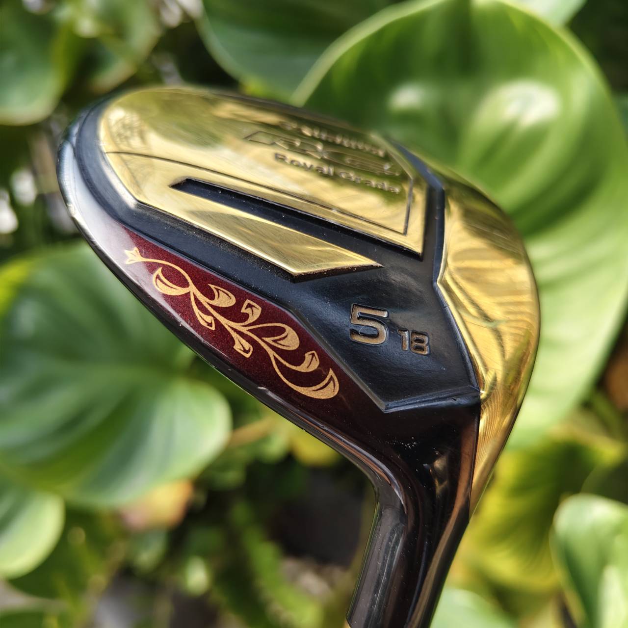 5W TSURUYA ROYAL GRADE องศา 18 FLEX R ตัวดังที่ขึ้นชื่อเรื่อง “ตีง่าย และไกลแบบไม่ต้องออกแรงเยอะ”