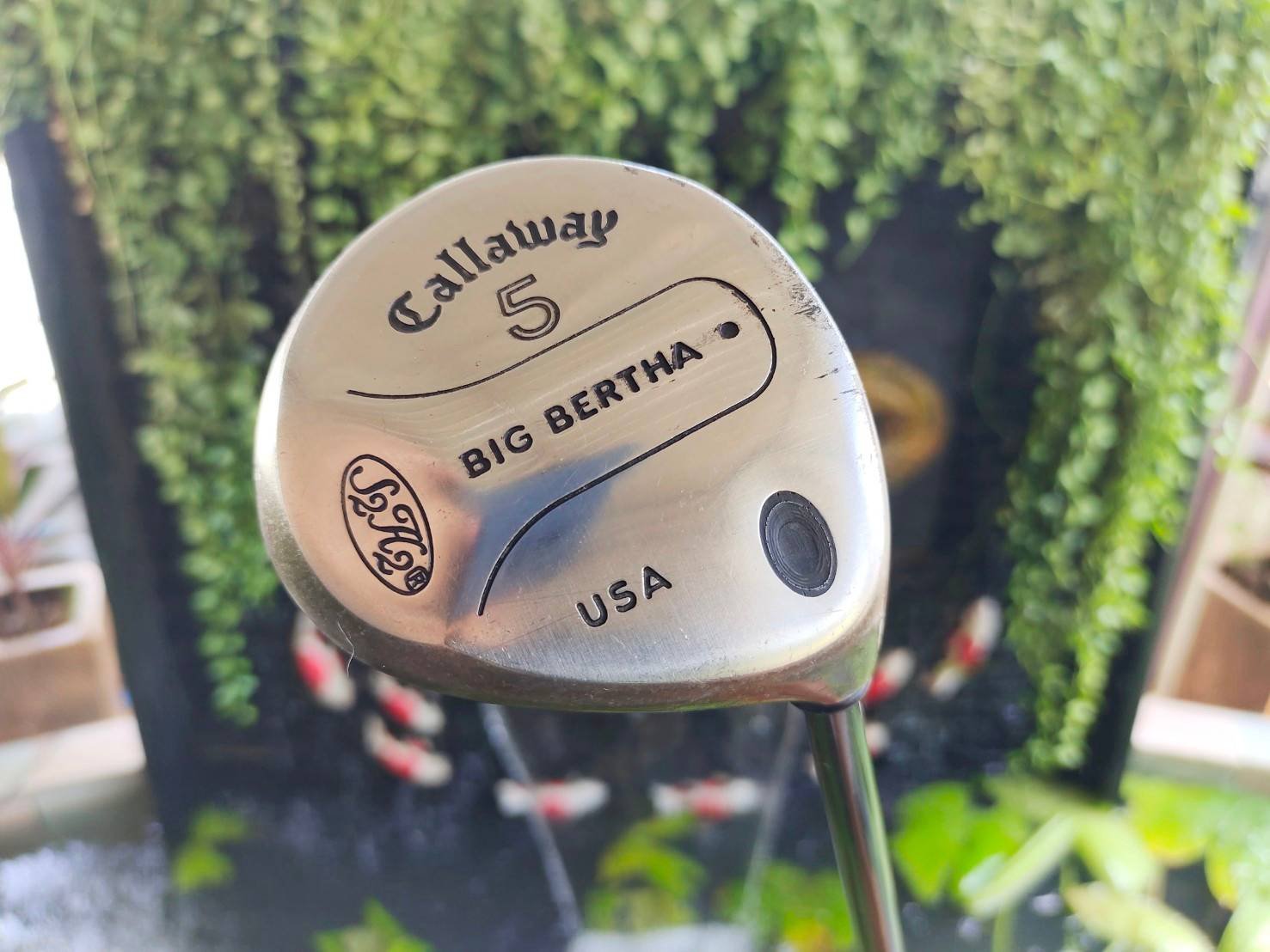 FW5 Callaway BIGBERTHAR