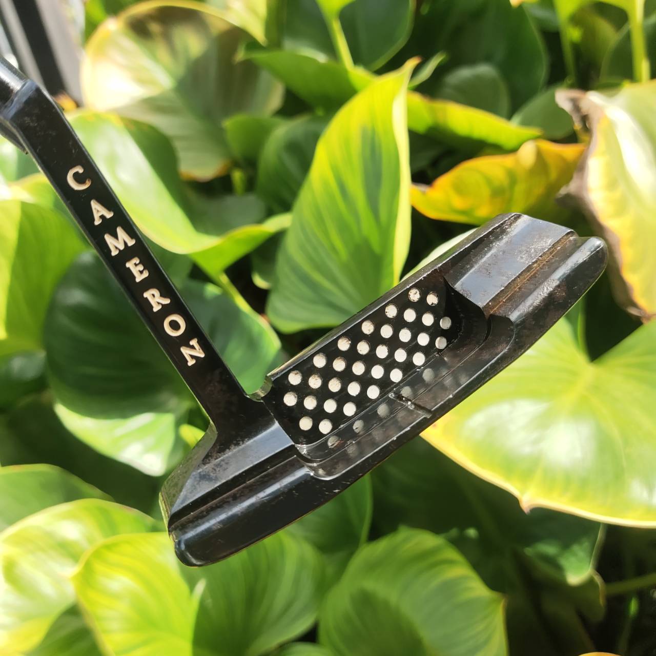 สุดยอดของ CAMERON Teryllium/Tel³ (อัลลอย์ 12 โลหะ) PUTTER Scotty Cameron Newport® 2 Long Neck