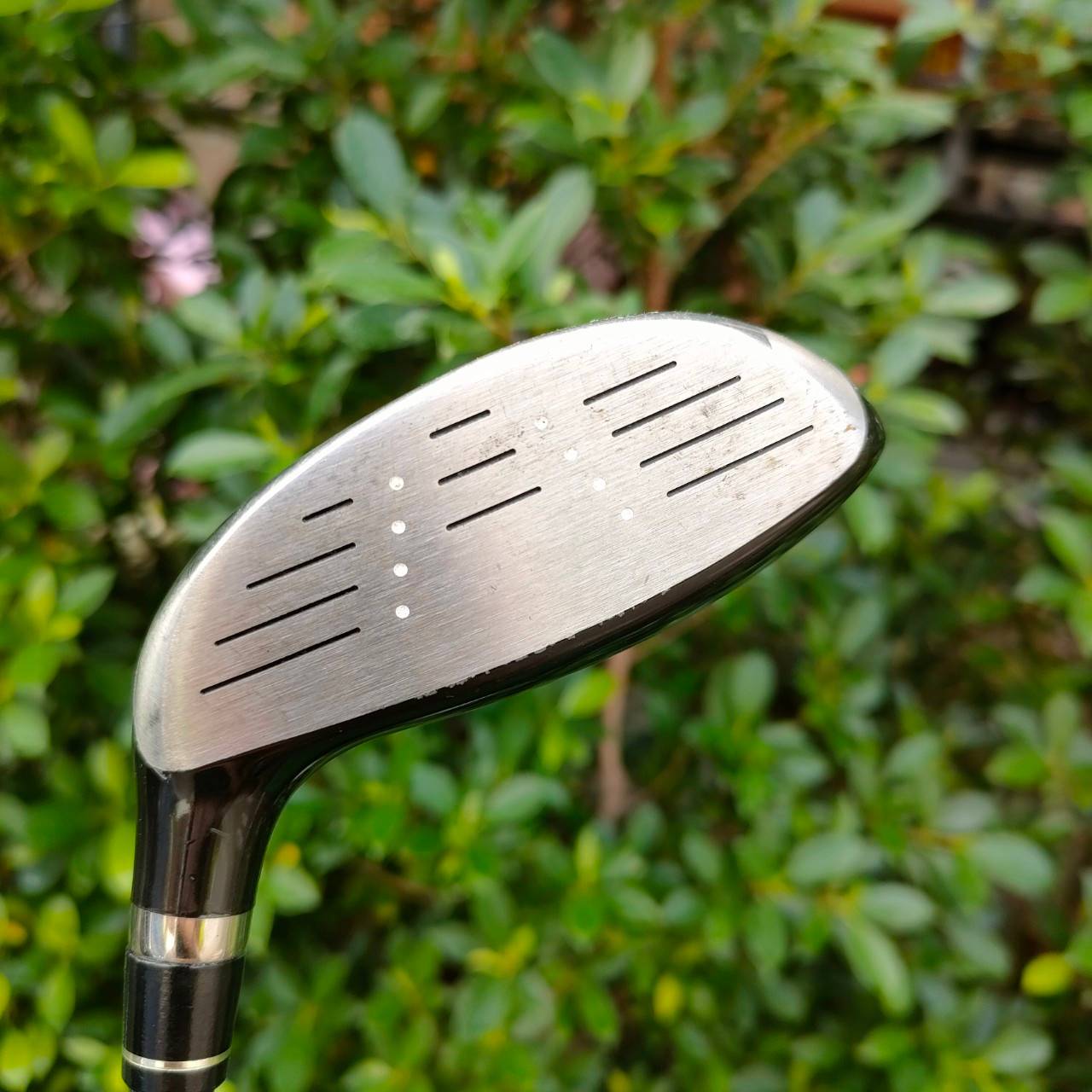**ไม้กอล์ฟสำหรับผู้หญิง** FW5 CALLAWAY LEGACY LADY องศา 19 ก้าน SPEED AMORPHOUS FLEX L เป็นตัวพรีเมี่ยมของ Callaway