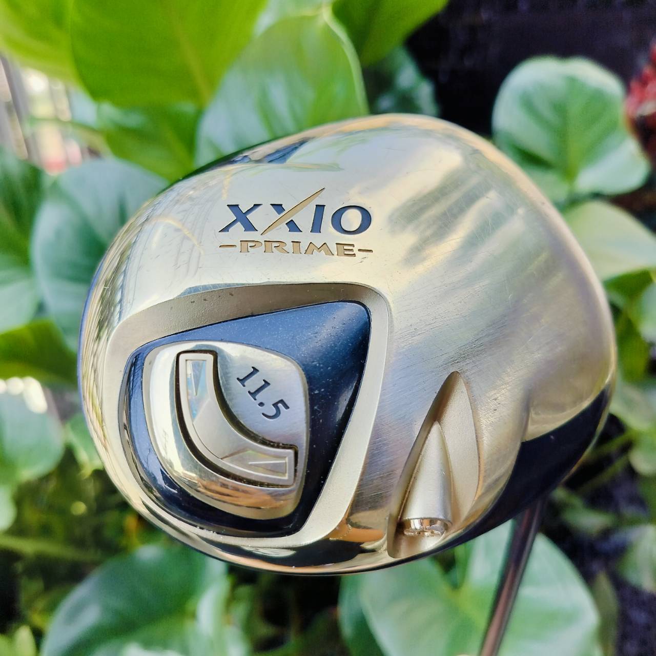 DRIVER XXIO PRIME SP-500 รุ่นธรรมดาว่าตีดีแล้ว แต่รุ่น PRIME พรีเมี่ยมสูงสุด ตีดีกว่าอีก 1 เท่า เน้นขาย ระดับพรีเมี่ยมในญี่ปุ่น ไม้กอล์ฟพรีเมี่ยมญี่ปุ่นมือสอง ของแท้ By NakaraLuxurious