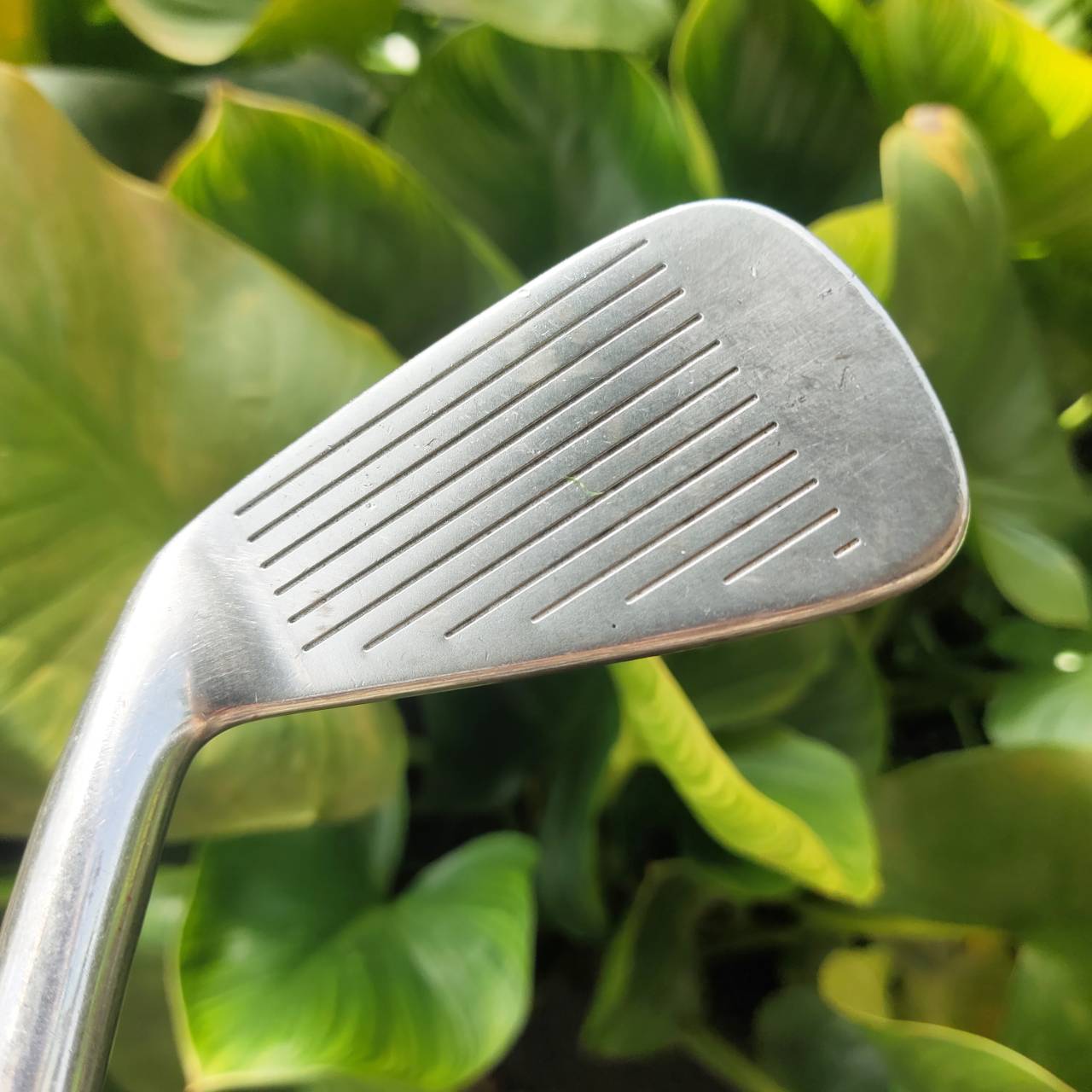 เหล็ก 3 WILSON DEEPRED TOUR เน้นไม้เหล็ก cavity-back ลูกง่าย และ forgiveness สูง