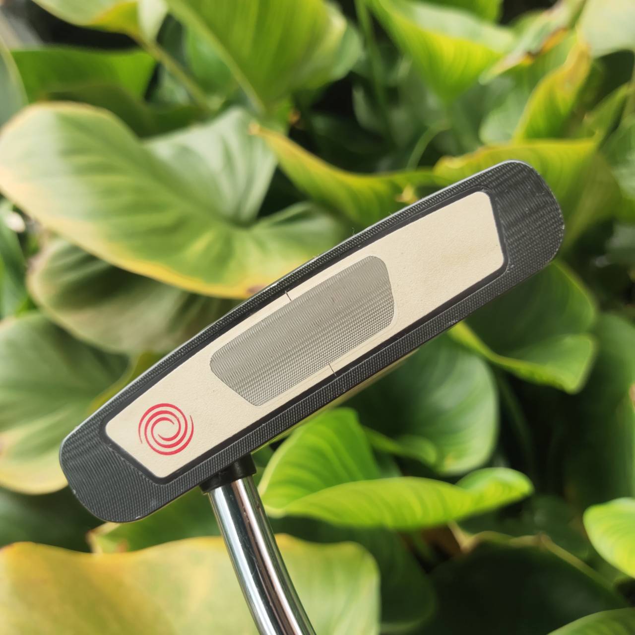 Odyssey White Steel SRT 2 Ball หน้าไม้เป็น STELL ทำให้เกาะไลน์ มากยิ่งขึ้น ลดแรงเฉื่อยได้ดี แม่นมากๆ