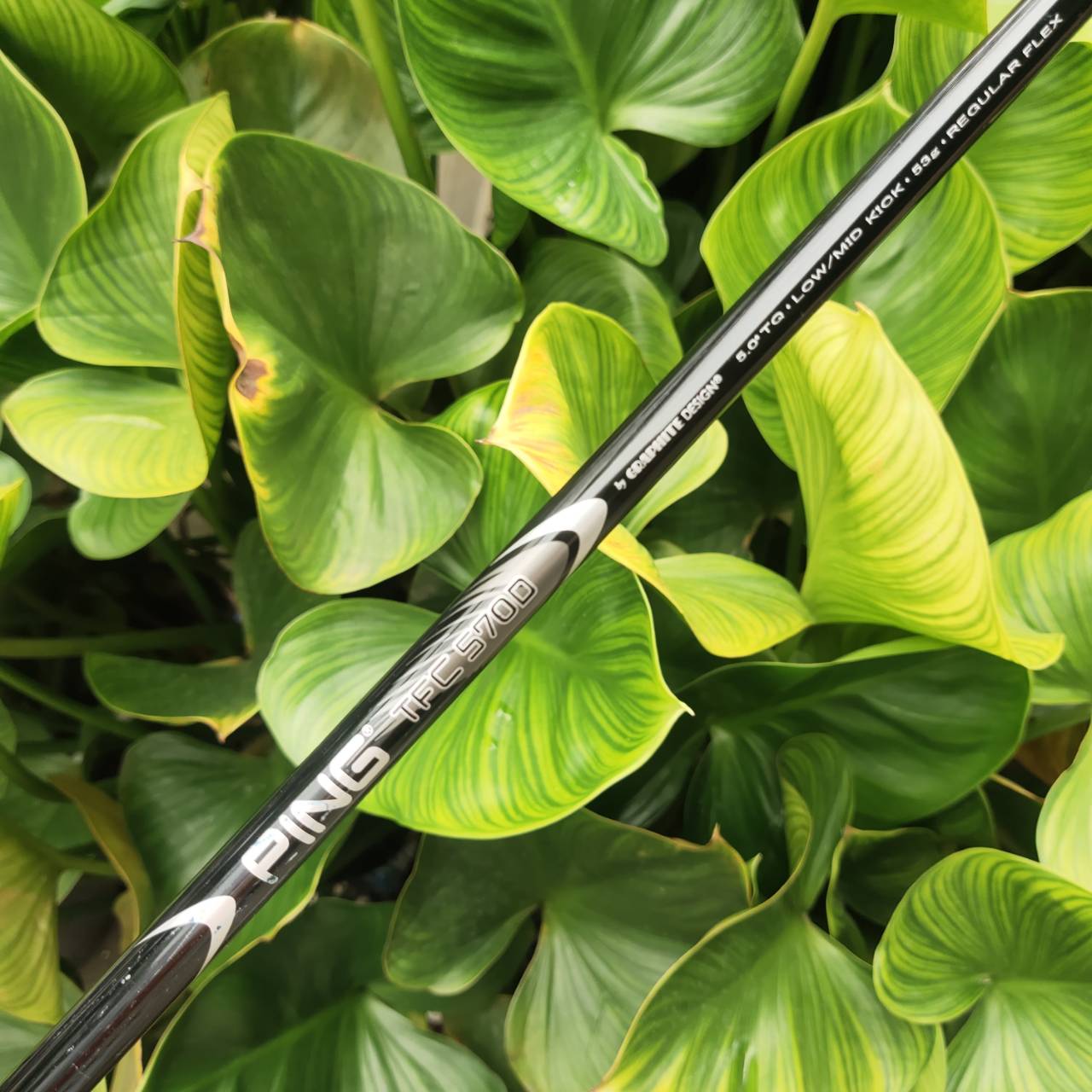 *มีลอยลอดลูก* 🏌️♂️ Driver PING G10 องศา 10.5° | ก้าน TFC-570D FLEX R