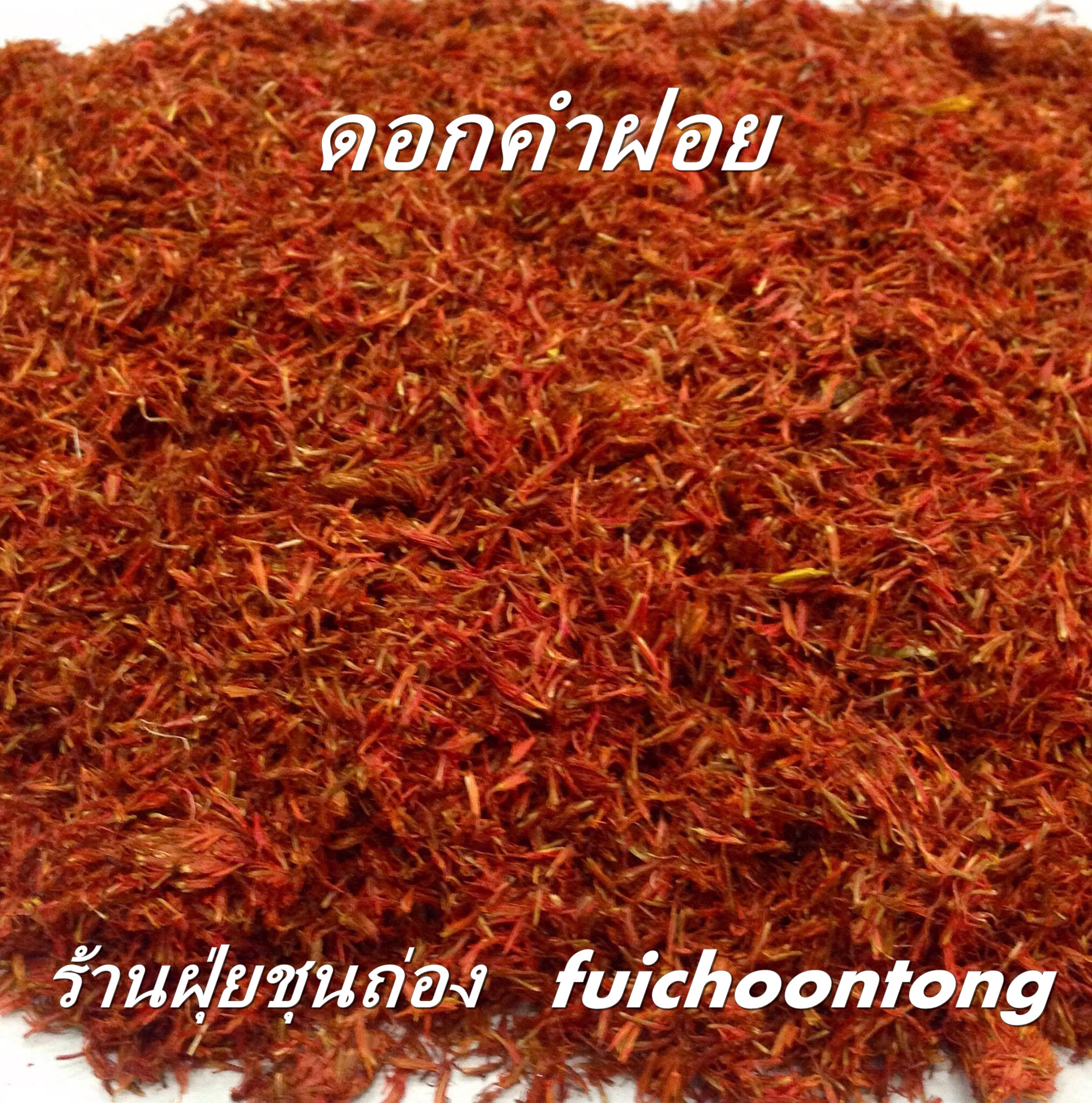 ดอกคำฝอย