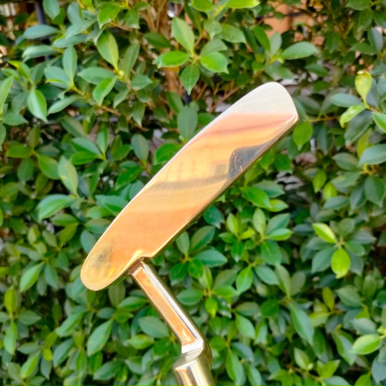 PUTTER PING KARSTEN ANSER ความยาว 34 นิ้ว ทองเหลืองบริสุทธิ์ เต็มคาราเบล ด้วยรูปทรง และการบล๊านซ์น้ำหนัก และฟีลลิ่ง + เสียงการพัตต์ที่สุดยอดหาไม่ได้ บริเวณด้านหน้ามีร่องยาว เพื่อการพัตต์ ที่ได้ฟีลยิ่งขึ่น สุดครับ ไม่จัดไม่ได้!!!