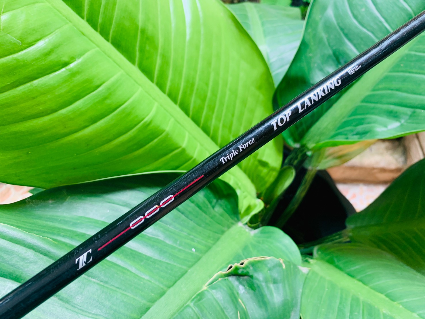 HYBRID TOPLANKING TRIPLE FORCE