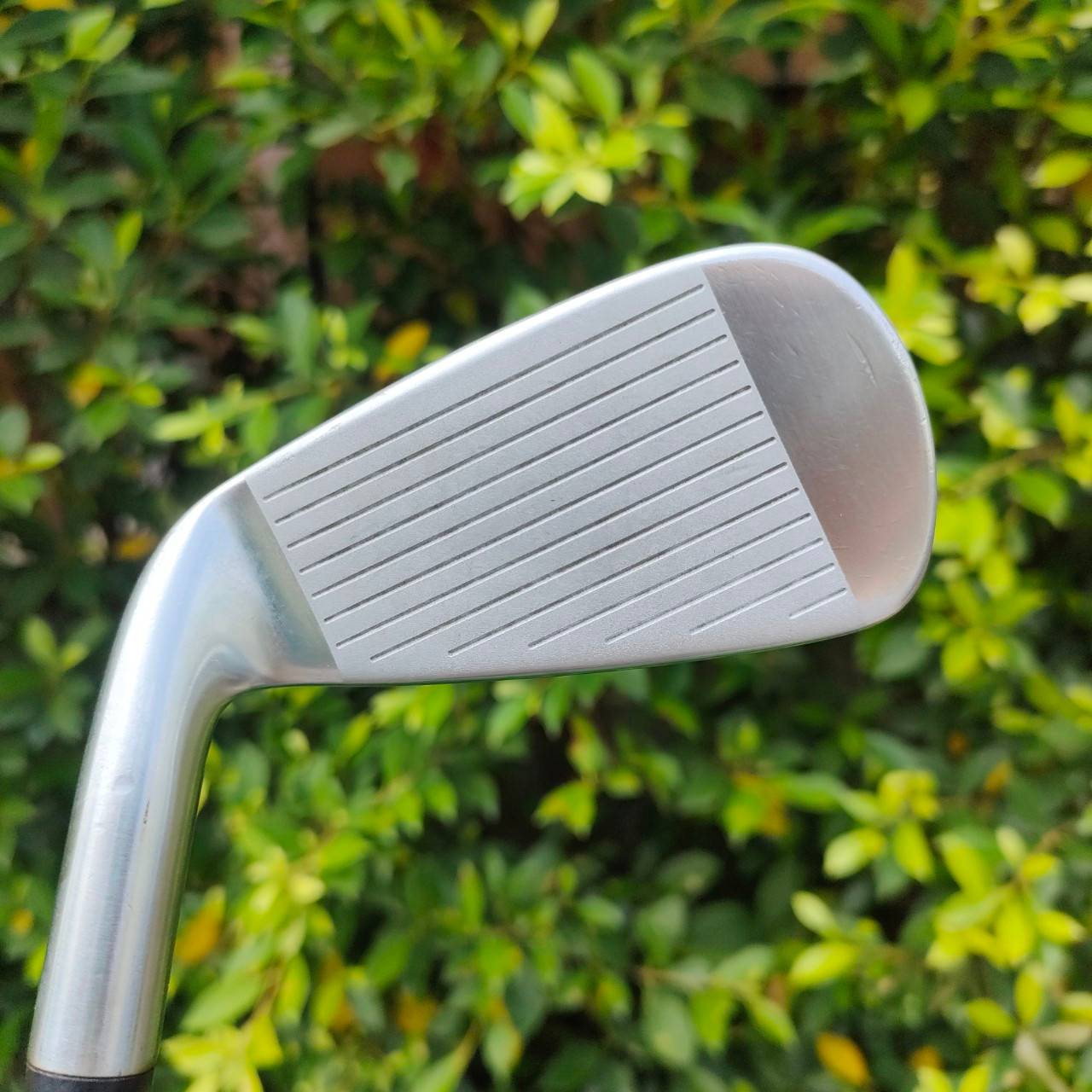 ชุดเหล็ก MAXFLI REVOLUTION มีเหล็ก 3-9 เเละ PW ก้าน DYNAMIC GOLD FLEX R ชุดนี้ออกหลังจากที่ Taylormade ซื้อไปแล้ว ทำให้ได้คุณภาพที่สูงมากในราคาแสนเบา