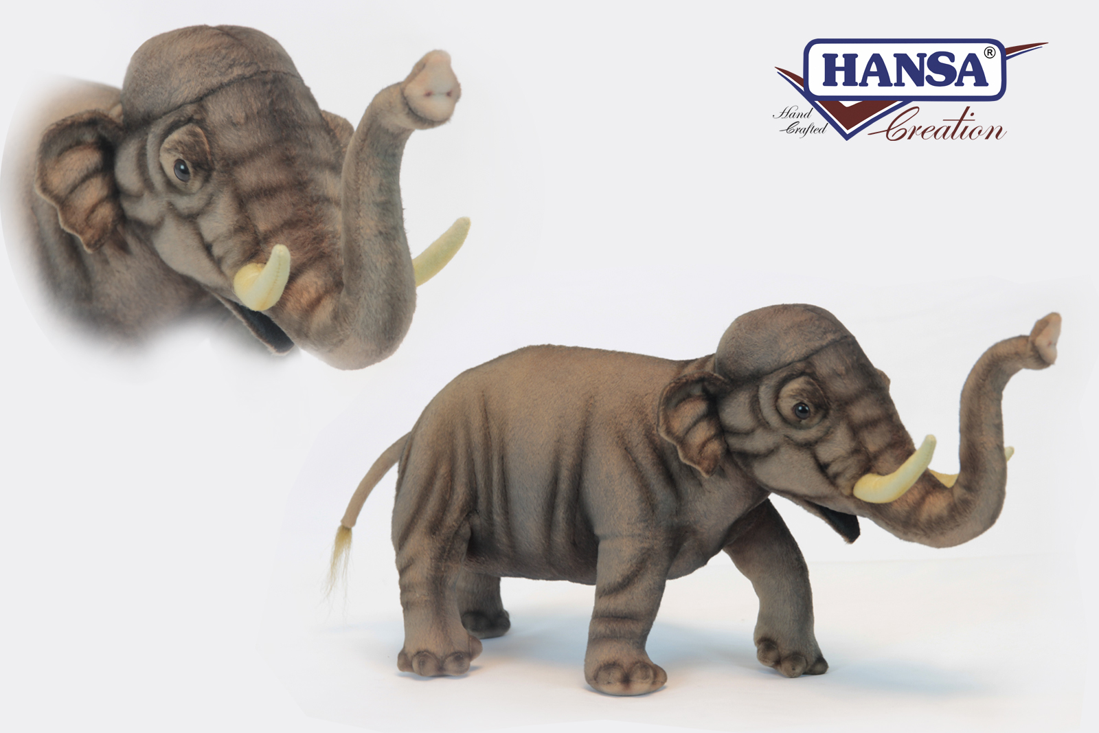 6705 Asian Elephant 50cm.L