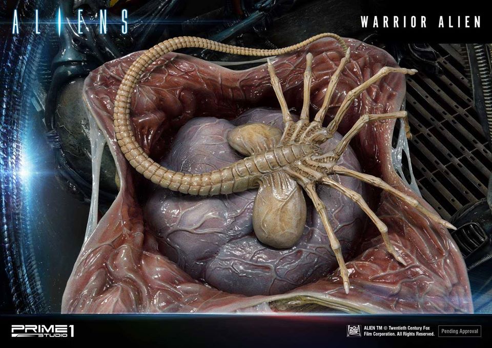 [สั่งจอง] Prime 1 Studio PMDHAL-02DX: Warrior Alien [Comics]