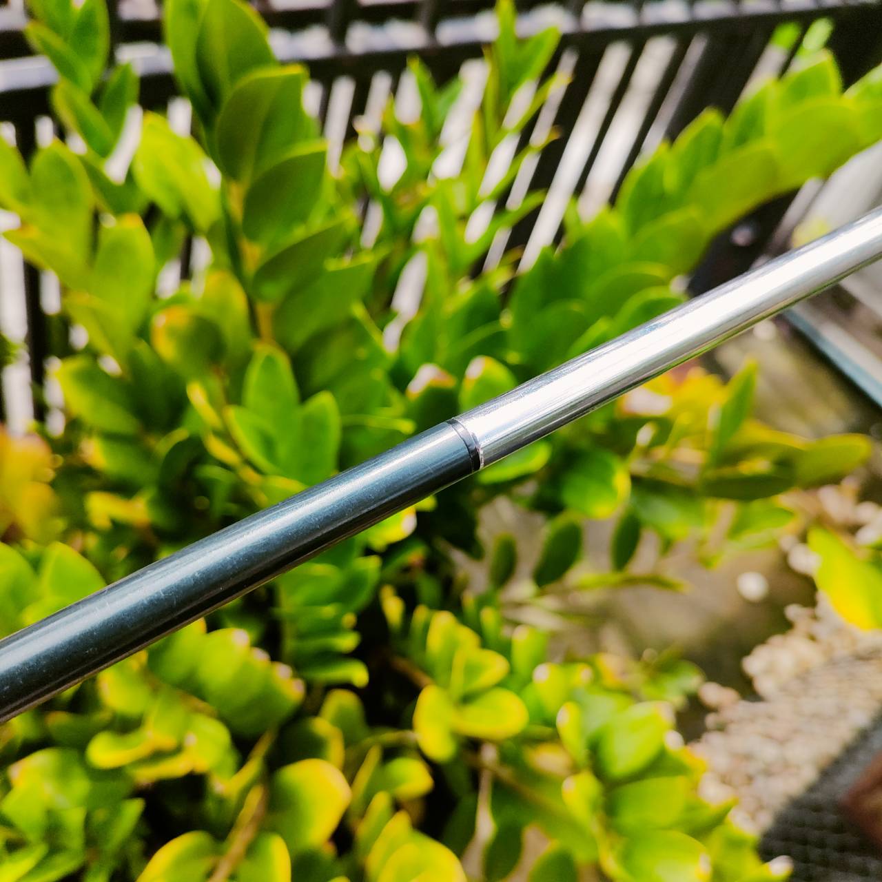 PUTTER ODYSSEY Toulon Design Las Vegas DB พัตเตอร์ HI-END ที่สุดของแบรนด์ ODYSSEY โดย ฌอน ตูลง สุดยอด Craftsman ด้านพัตเตอร์ ไม้กอล์ฟพรีเมี่ยมมือสอง ของแท้ By NakaraLuxurious