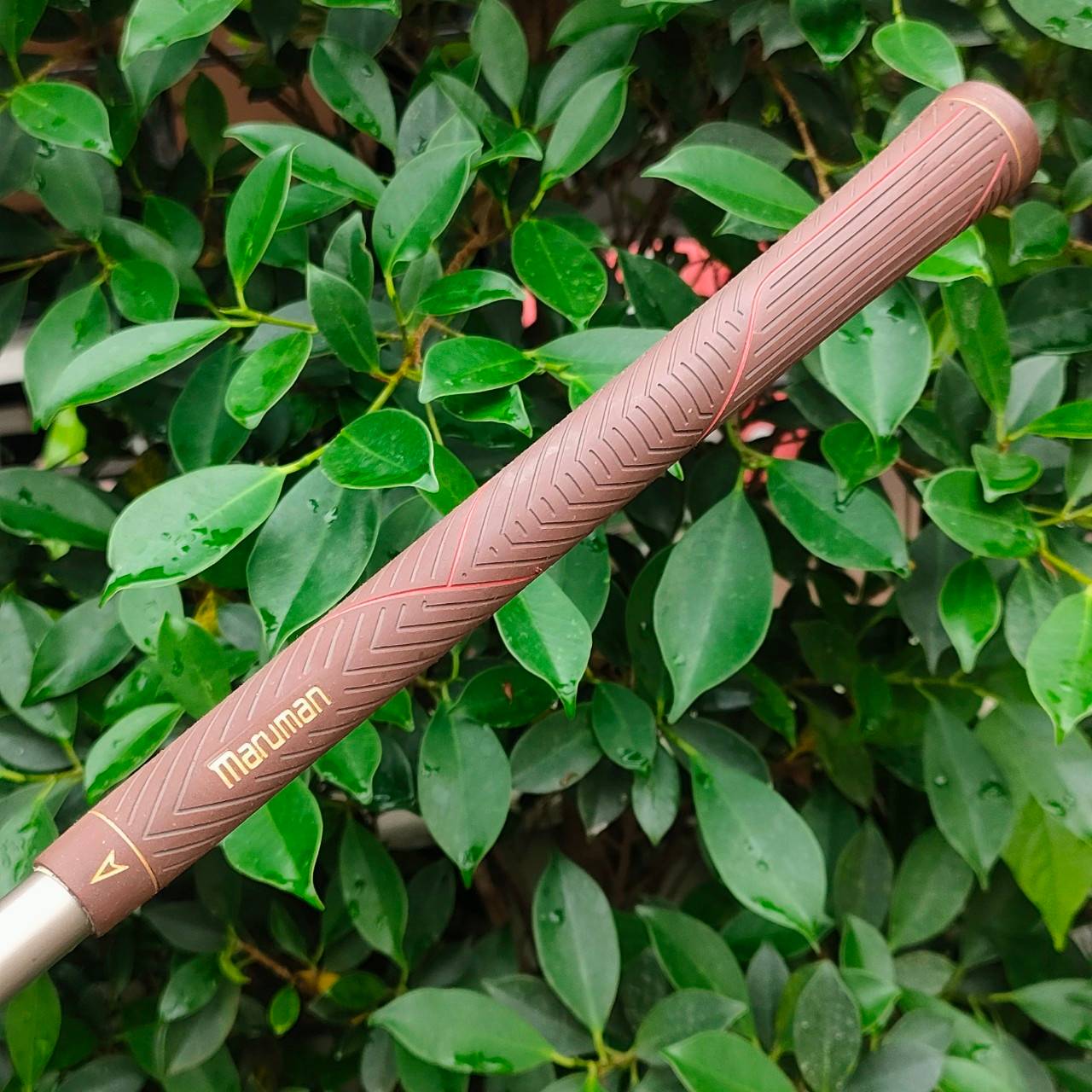 ** ไม้กอล์ฟสำหรับผู้หญิง ** ชุดเหล็ก MARUMAN SOLE MSL71 มีเหล็ก 5-9 เเละ PW ก้าน HECT 2200 FLEX L