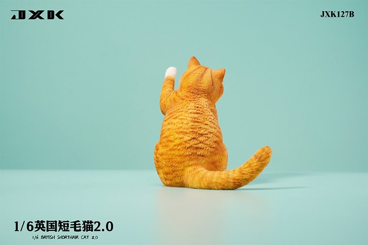 [สั่งจอง]JXK JXK127 1/6 : British Shorthair 2.0