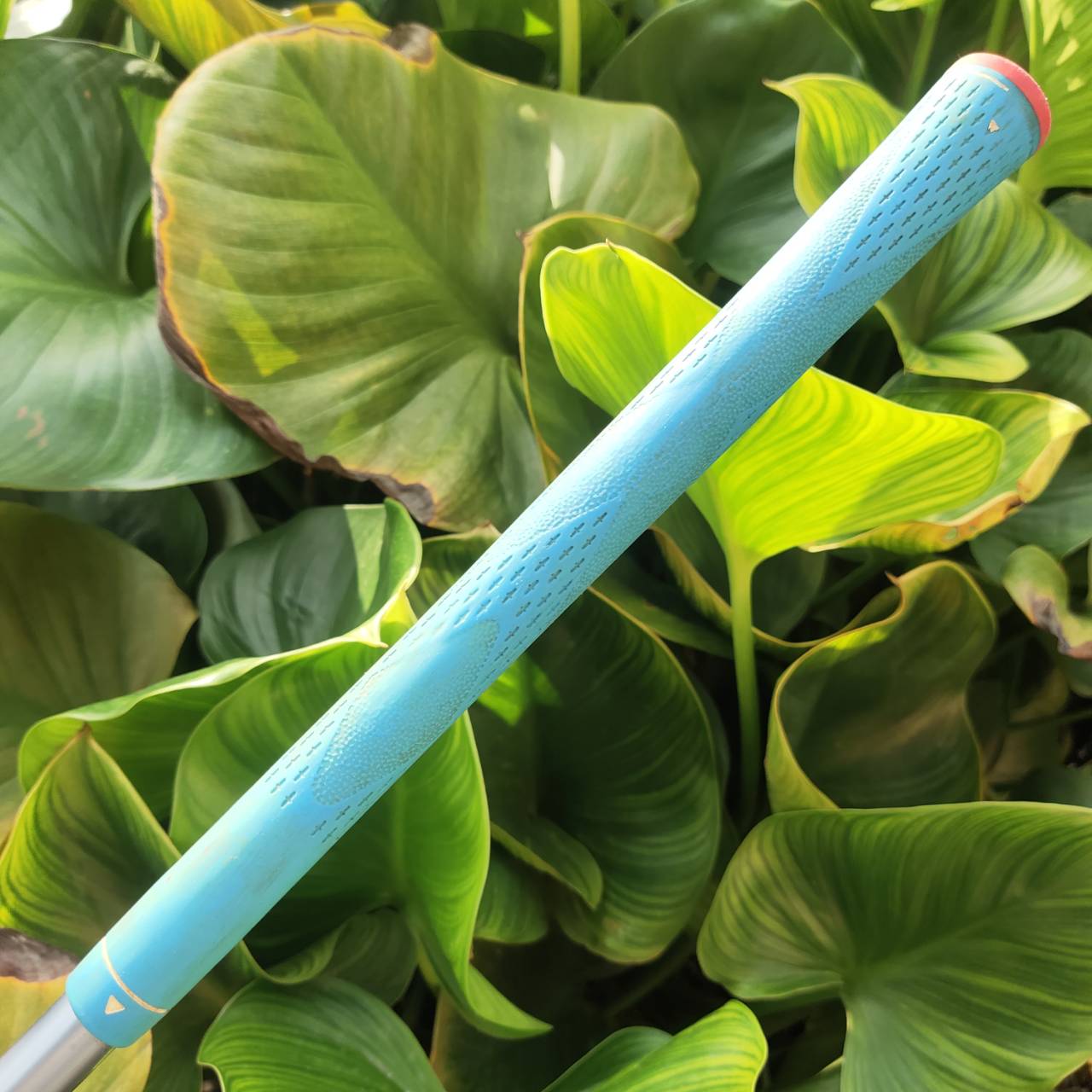 ไม้กอล์ฟผู้หญิง 5W - KING COBRA M/SPEED OFFSET หน้าเด้งมาก กระดองเด้งด้วย