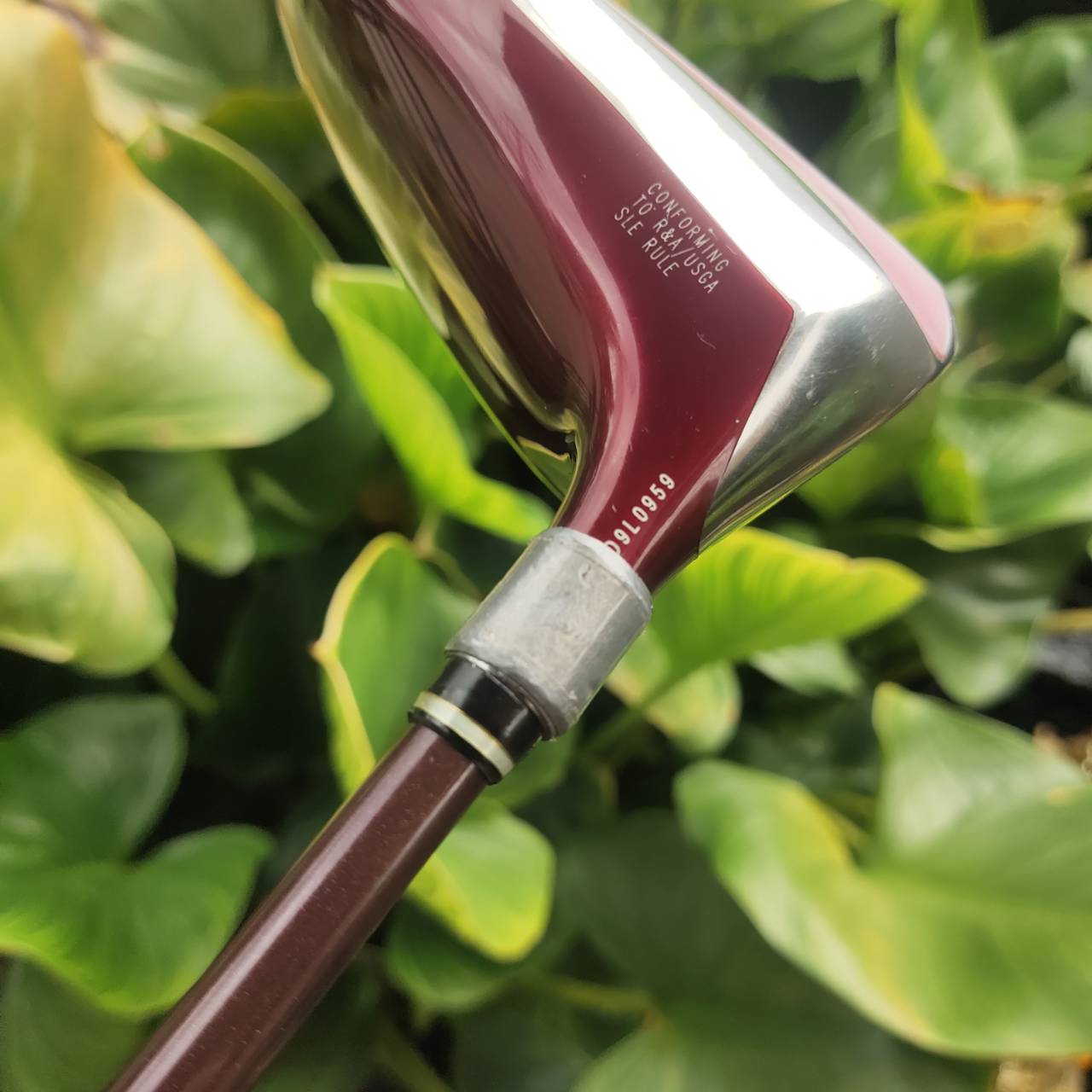 KASCO D-MAX PYRA LADY 11.5° Driver สำหรับคุณผู้หญิงที่อยากตีไกลขึ้นแบบ effortless!