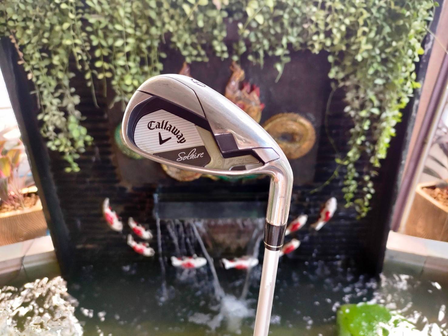 ไม้กอล์ฟครบชุดสำหรับสุภาพสตรี Callaway Solaire ชุดที่หลายท่านรอคอย