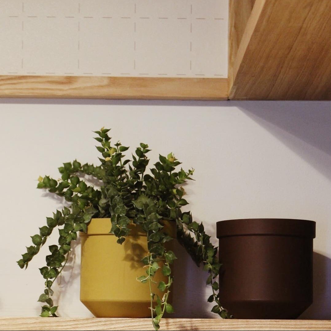 Rubber Pot I กระถางต้นไม้-กระถางใส่ของยางซิลิโคน