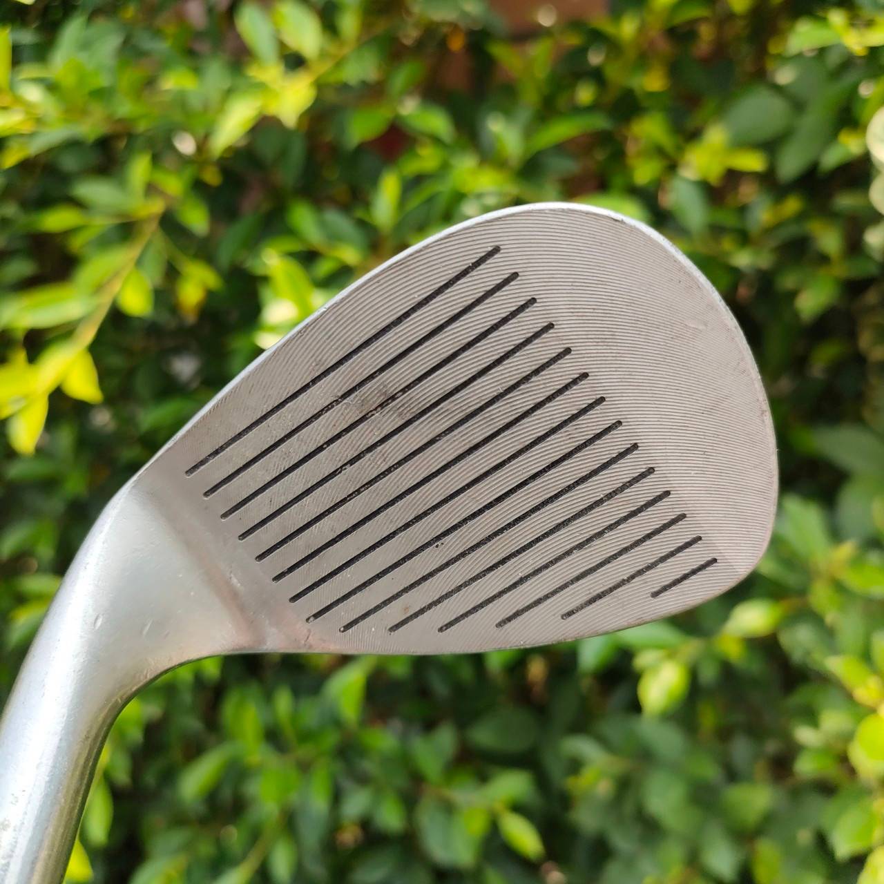 WEDGE CRAIGTON CNC SPIN FORGED องศา 56 ก้าน CRAIGTON เหล็ก CNC หน้าตะไบ โหดสุดๆ
