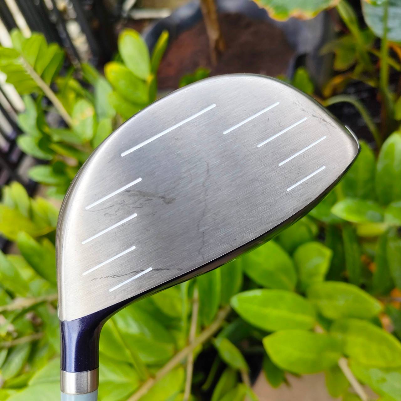 ** ไม้กอล์ฟสำหรับผู้หญิง ** ** มีลักยิ้ม 1 จุด มีรูปให้ชม ** DRIVER IGNIO องศา 14 ก้าน IGNIO FLEX L ตีง่าย ตีดี มือใหม่เหมาะมาก ไม้กอล์ฟมือสอง ของแท้ BY NakaraLuxurious