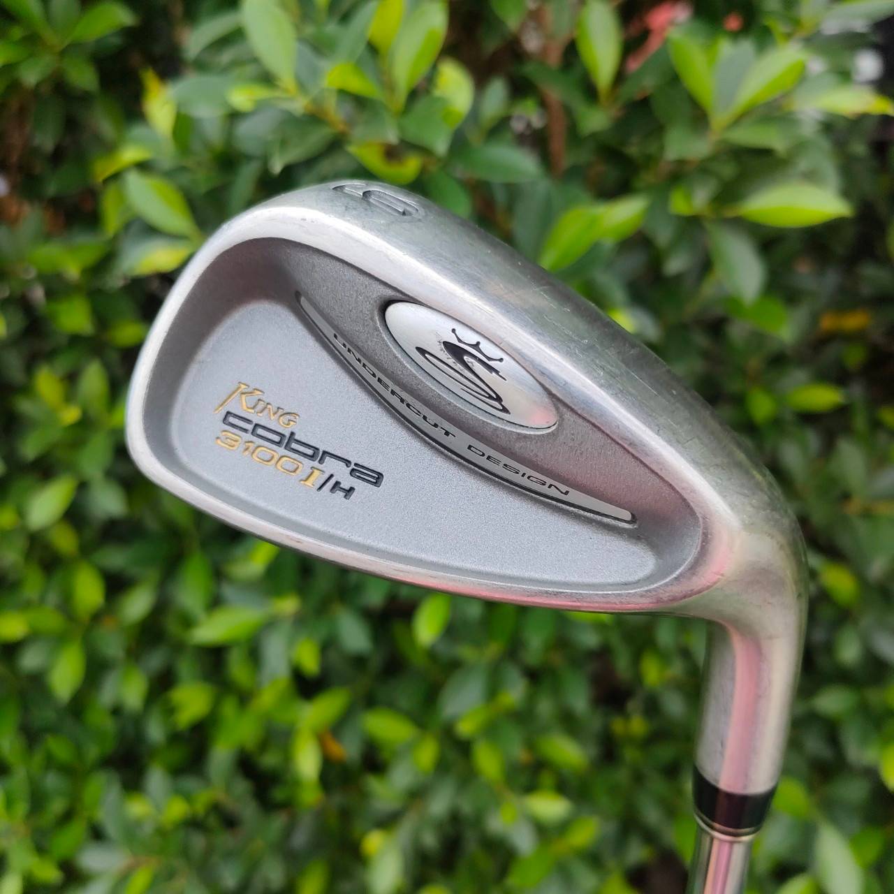 ชุดเหล็ก KING COBRA 3100 I/H มีเหล็ก 4 - 9 เเละ PW ก้าน N.S.PRO 1030H FLEX S เป็นเหล็ก UNDER CUT เน้นๆ ตีง่ายมาก และตีใส่ได้เต็ม ก้าน เต็มคาราเบล มากครับ