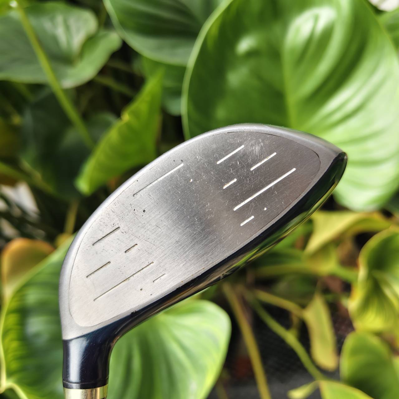 3W XXIO “เบา ตีลอยง่าย ระยะมาแบบสบายๆ” เหมาะสุดสำหรับคนที่อยากเพิ่มความมั่นใจตอนตีจากแฟร์เวย์!