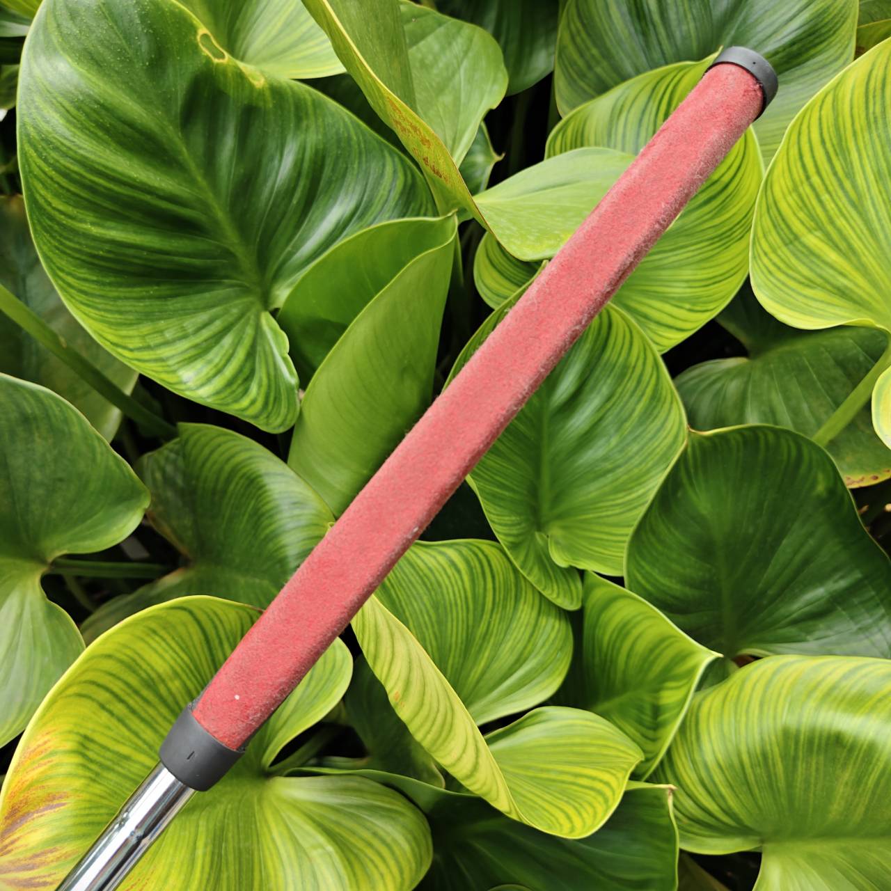 Putter Odyssey White Hot #1 Face Balanced Design — เหมาะกับนักกอล์ฟที่มีสวิงตรงและช้า