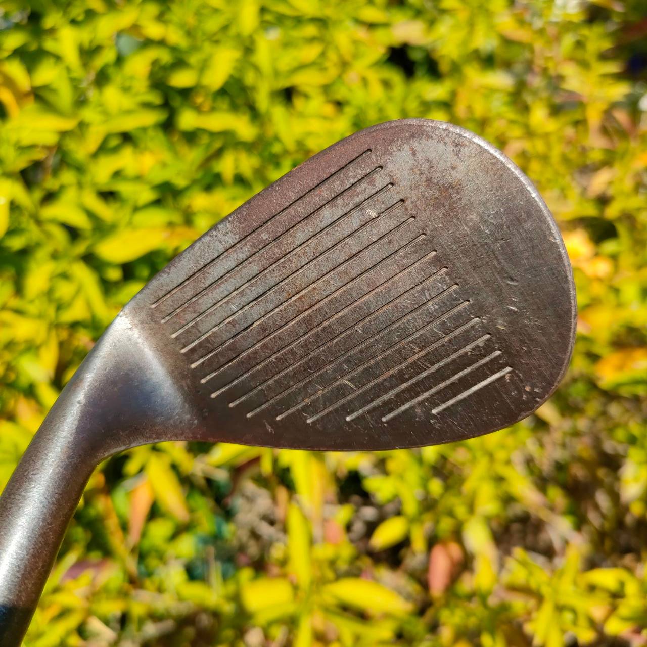 WEDGE よせ太郎 องศา 52 สุดยอด WEDGE HAND CRAFT วัสดุสุดพรีเมี่ยม ร่องคมกริบ สปินจัดๆ ตกหยุดหนึบๆครับ