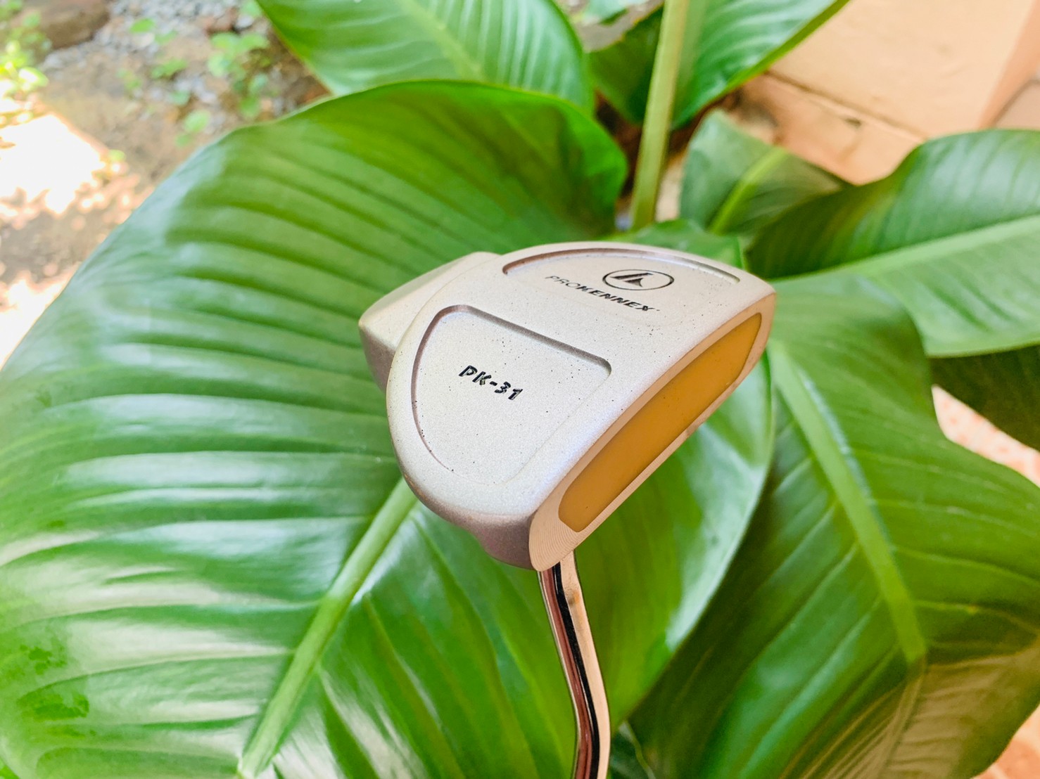 ไม้กอล์ฟครบชุดมือสอง PROKENNEX