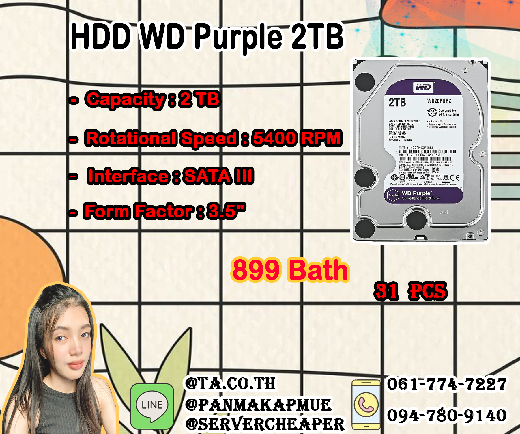 Harddisk WD Purple 2TB Sata 3.5