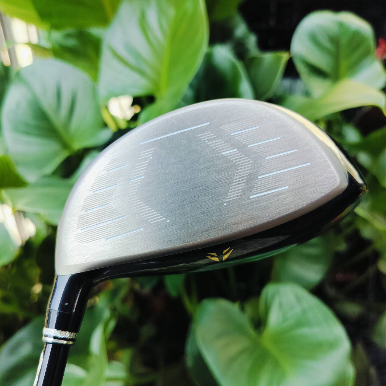 Driver XXIO PRIME X องศา 10.5 ก้าน XXIO PRIME SP-1000 FLEX R2 . XXIO PRIME-X DRIVER ทำจากไททาเนี่ยมคุณภาพสูง มีความแข็งแกร่งแต่ให้ความยืดหยุ่นสูง บวกกับก้านรุ่นใหม่ SP-1000 ที่มีน้ำหนักเบา ไม้กอล์ฟพรีเมี่ยมญี่ปุ่นมือสอง ของแท้ By NakaraLuxurious