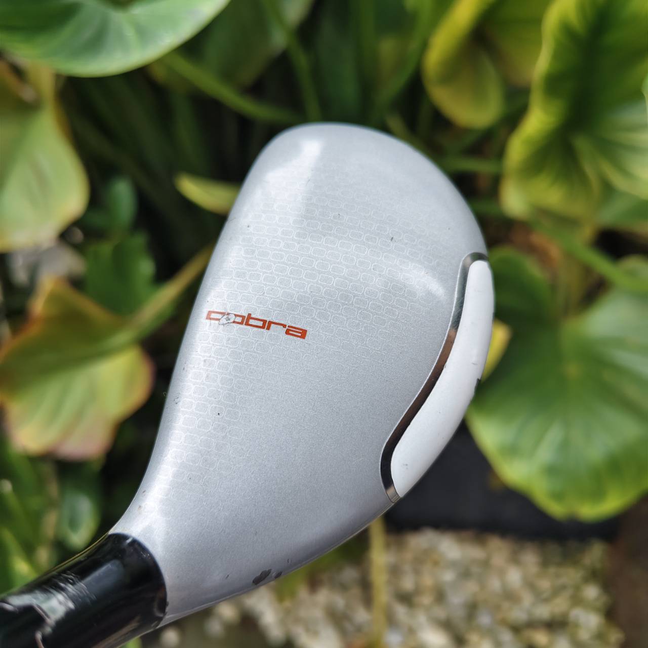 UT COBRA AMP CELL – ปรับได้ 2 องศาในหัวเดียว! ไฮบริดอเนกประสงค์สุดคุ้ม!