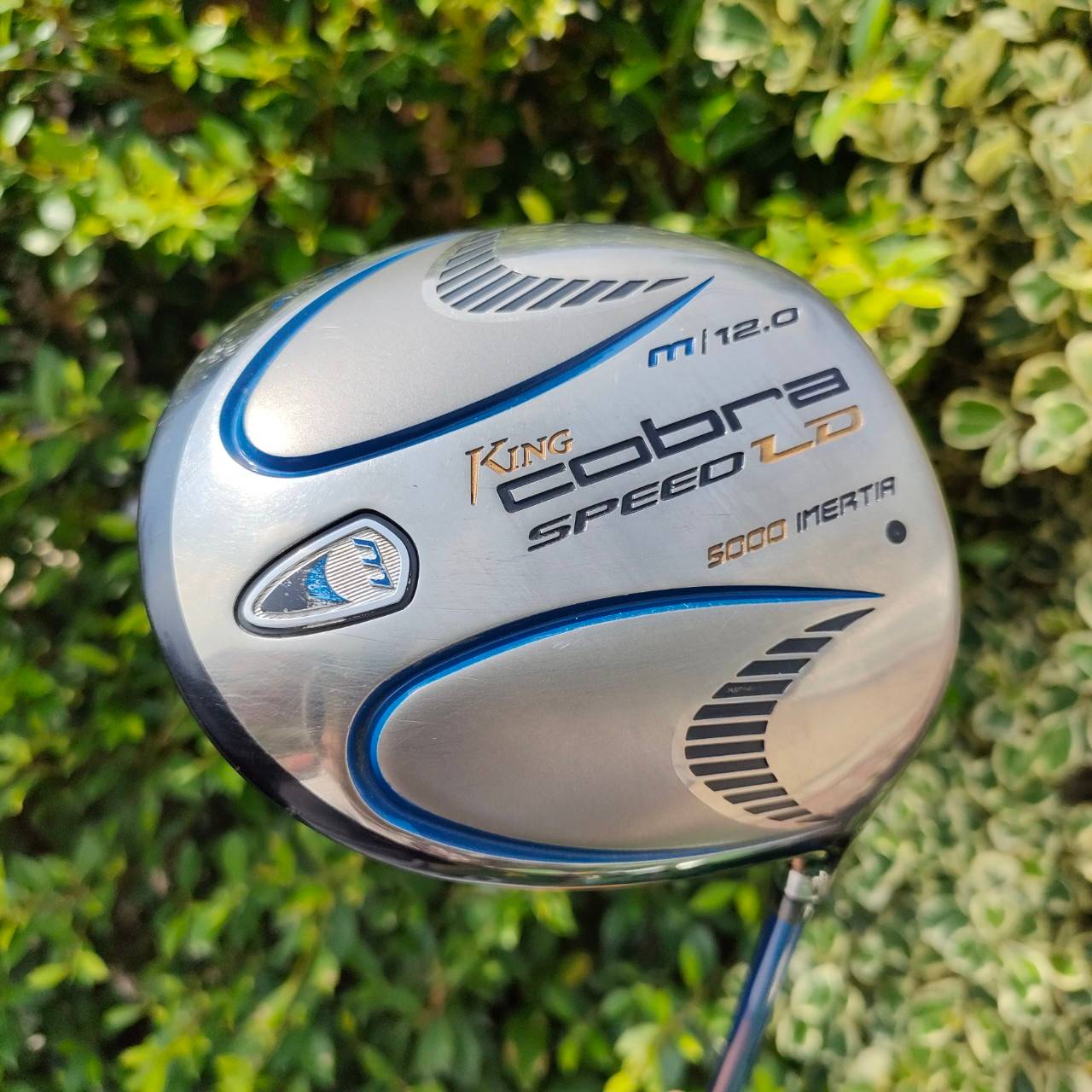 DRIVER KING COBRA SPEED LD องศา 12 ก้าน ALDILA NVS FLEX R ก้านดีมาก หัวใหญ่มาก รุ่นนี้กระดองใหญ่มาก ตีไกลแบบจัดๆๆๆเลยครับ ฟีลลิ่งเหมือนติดสปริง ตีโดนมั่นใจ