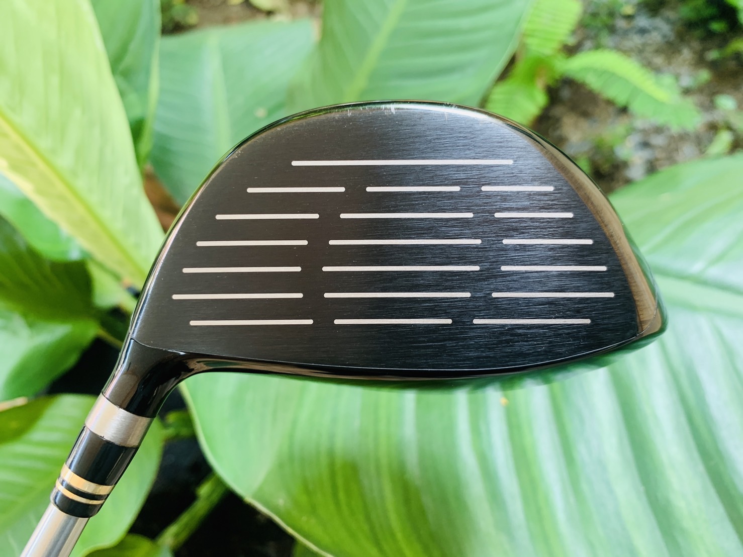 DRIVER RYOMA MAXIMA SPECIAL TUNING