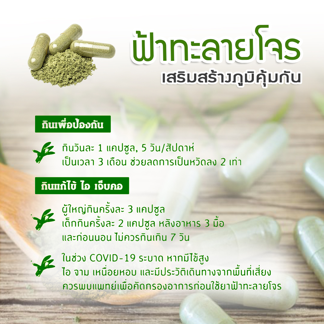 ยาฟ้าทะลายโจร แคปซูล (แก้ไข้ ร้อนใน บรรเทาอาการเจ็บคอ) 100 แคปซูล