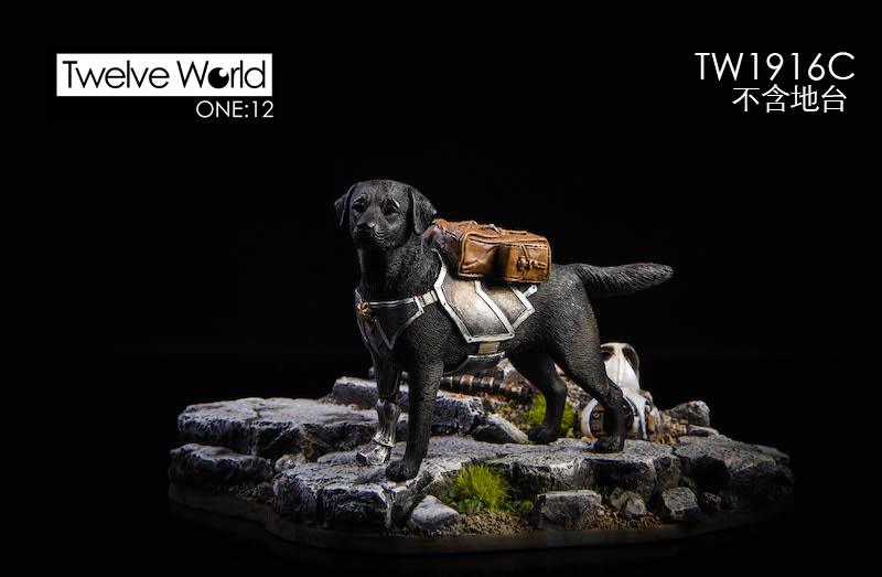 [สั่งจอง]TWTOYS 1/12 The ruins of the battlefield TW1916A TWTOYS 1/12 Mechanical dog TW1916 B/C/D/E