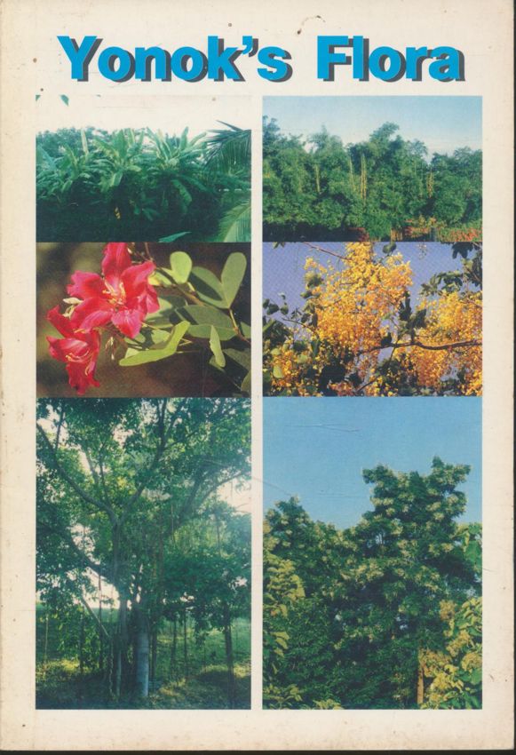 Yonok's Flora ภายในเล่มมีภาพพรรณไม้ต่างๆประกอบด้วยภาพสี เนื้อกระดาษมัน