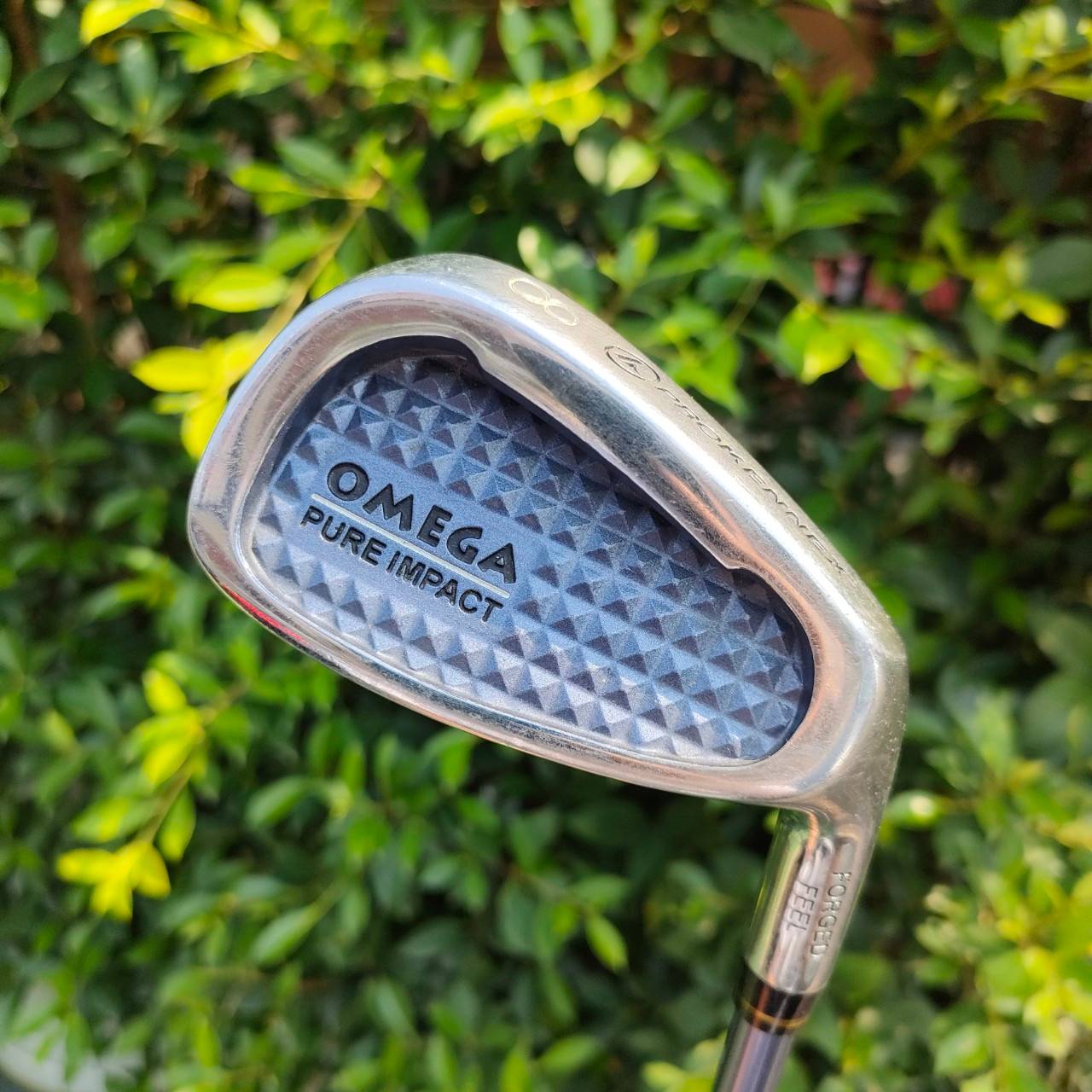 ** ไม้กอล์ฟสำหรับผู้หญิง ** เหล็ก 8 PROKENNEX OMEGA PURE IMPACT ก้าน OMEGA II FLEX L น้ำหนักเบา ตีสบายๆเลยครับ