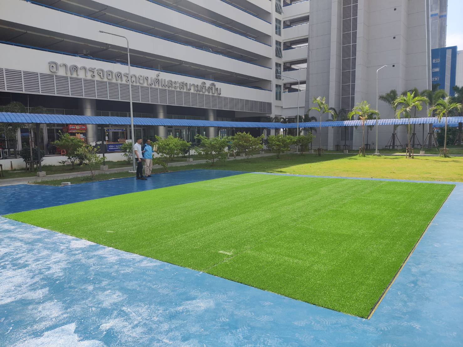 หญ้าเทียม, เกรดA 15ฝีเข็ม สีธรรมชาติ ยาว2 ซม.หน้ากว้าง 2 เมตร,หญ้าปลอม,สนามหญ้าหน้าบ้าน, สนามเด็กเล่น ,สนามกีฬา พร้อมส่ง ราคาโรงงาน