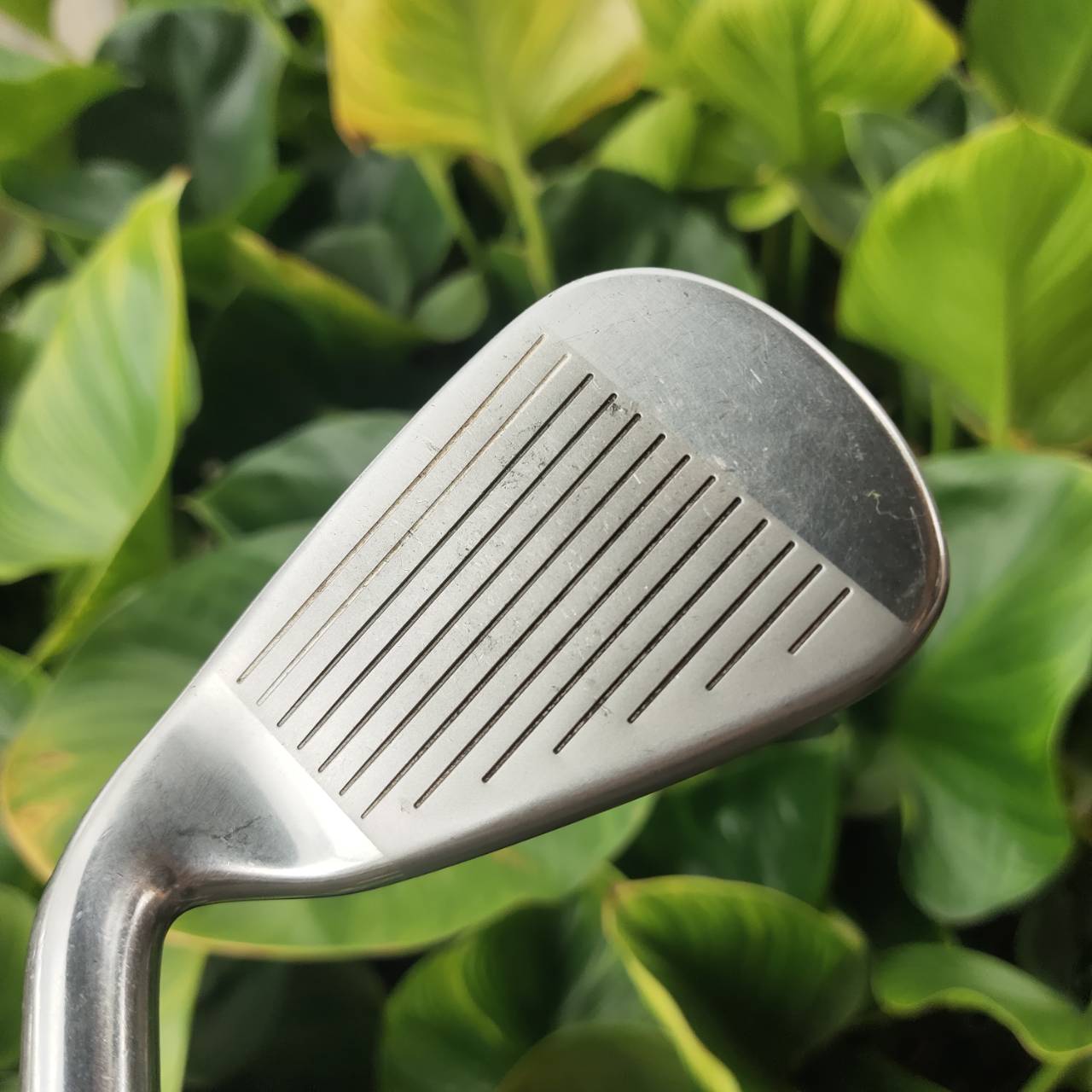 เหล็ก 5 Callaway ROGUE STAR CF18 เทคโนโลยี 360 Face Cup หน้าเด้ง ตีไกล สม่ำเสมอ