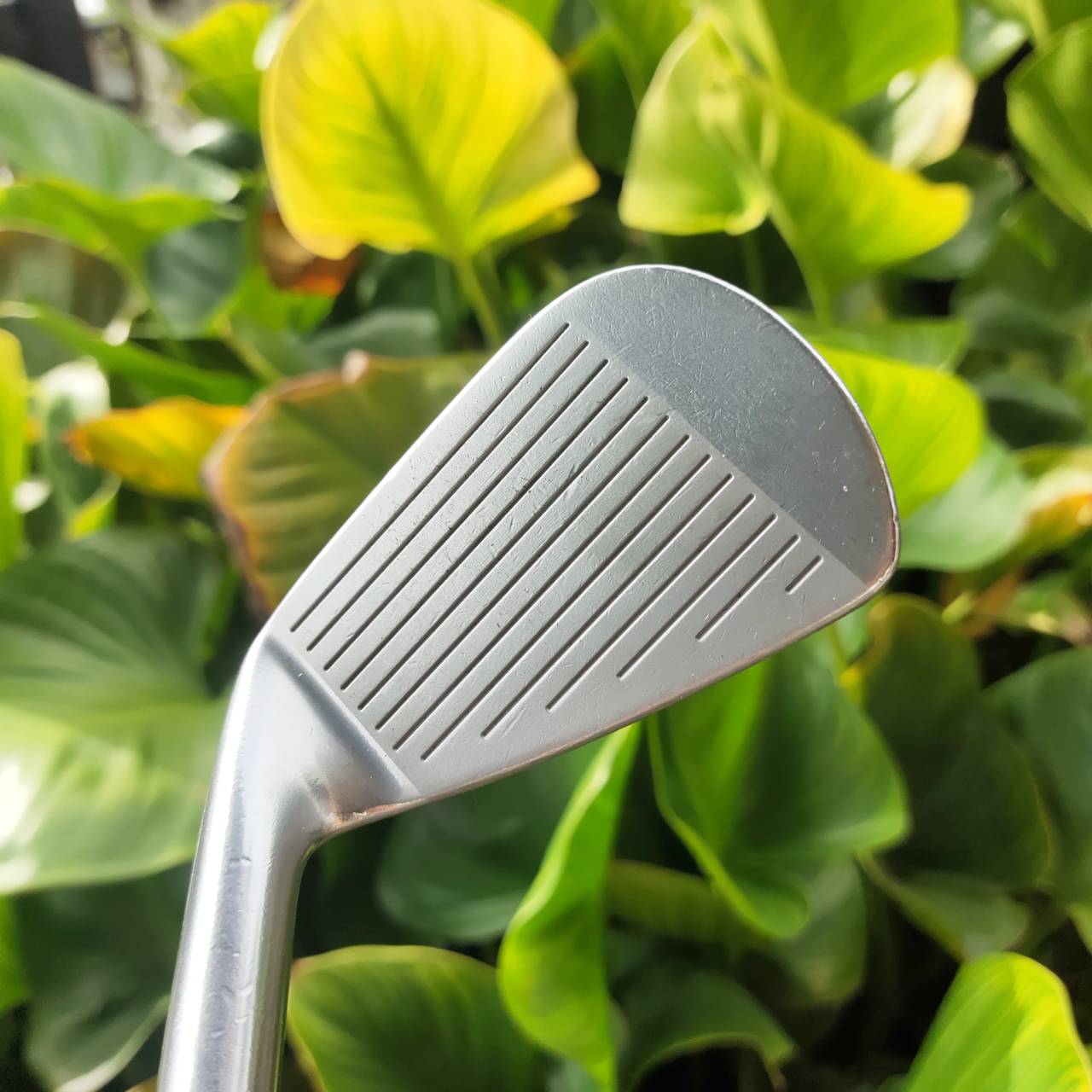 TOURSTAGE X-BLADE CB แค่ชุดแต่ง ราคาก็แพงหูฉีกแล้วค่ะ!! ปลอกคอแต่งทั้งชุด กริพ GOLF PRIDE ทั้งชุด