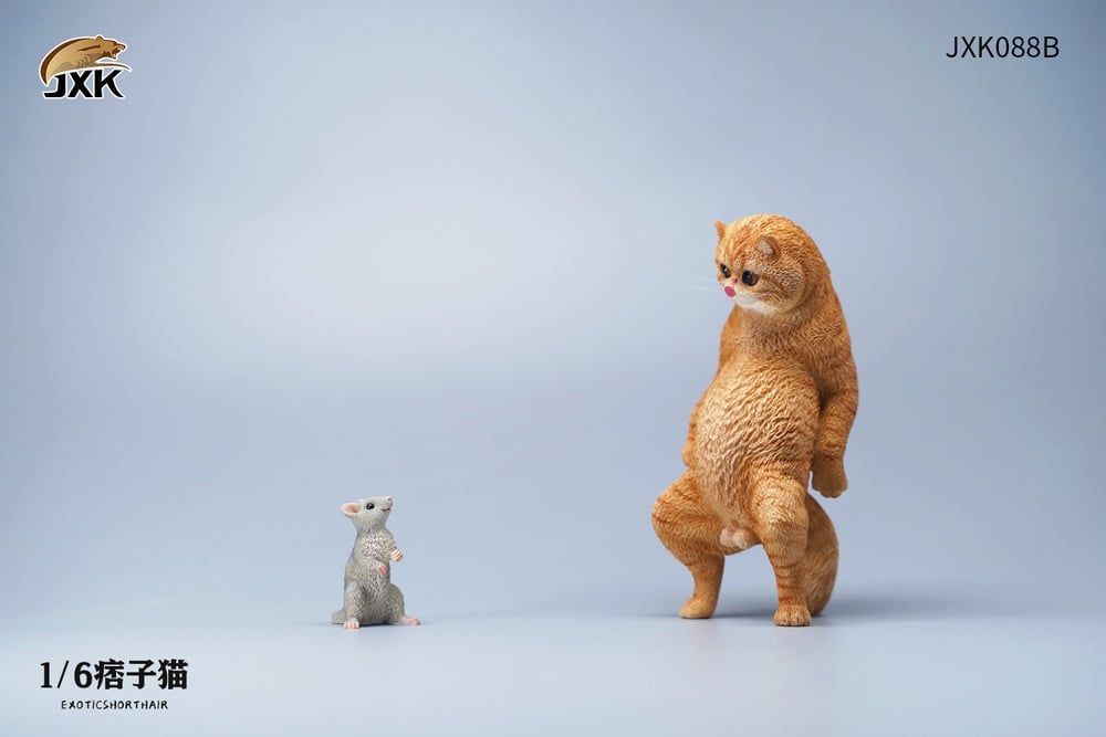 [สั่งจอง]JXK JXK088 1/6 : Exoticshorthair