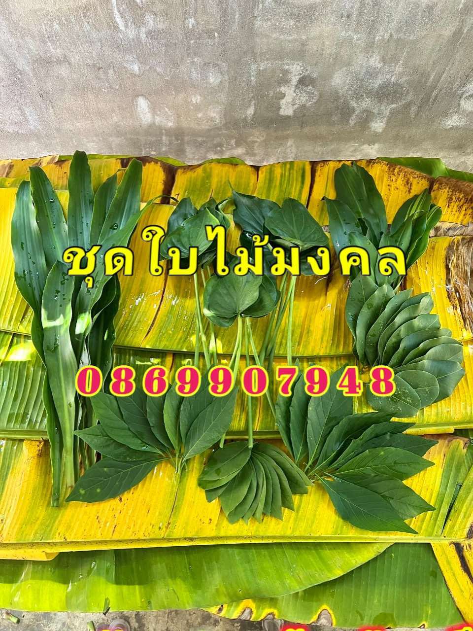 ใบไม้มงคลพิธี9อย่าง