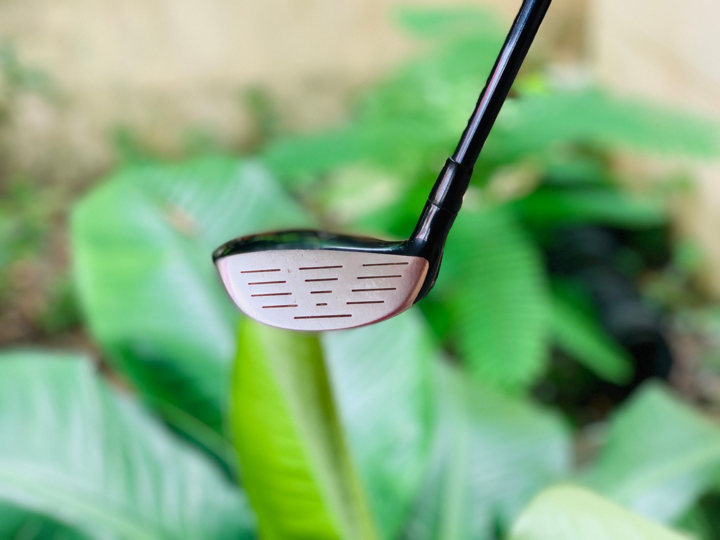 FAIRWAY 5 TOURSTAGE VIQF